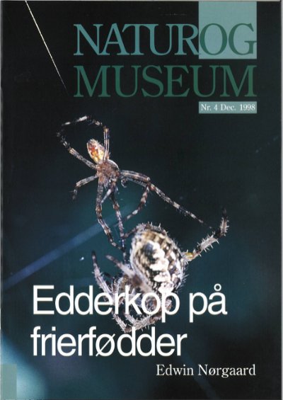 Edderkop på frierfødder